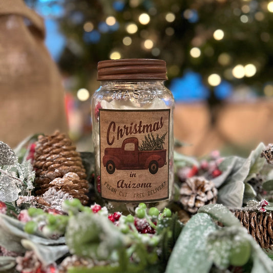 Christmas in Arizona Wax Melts