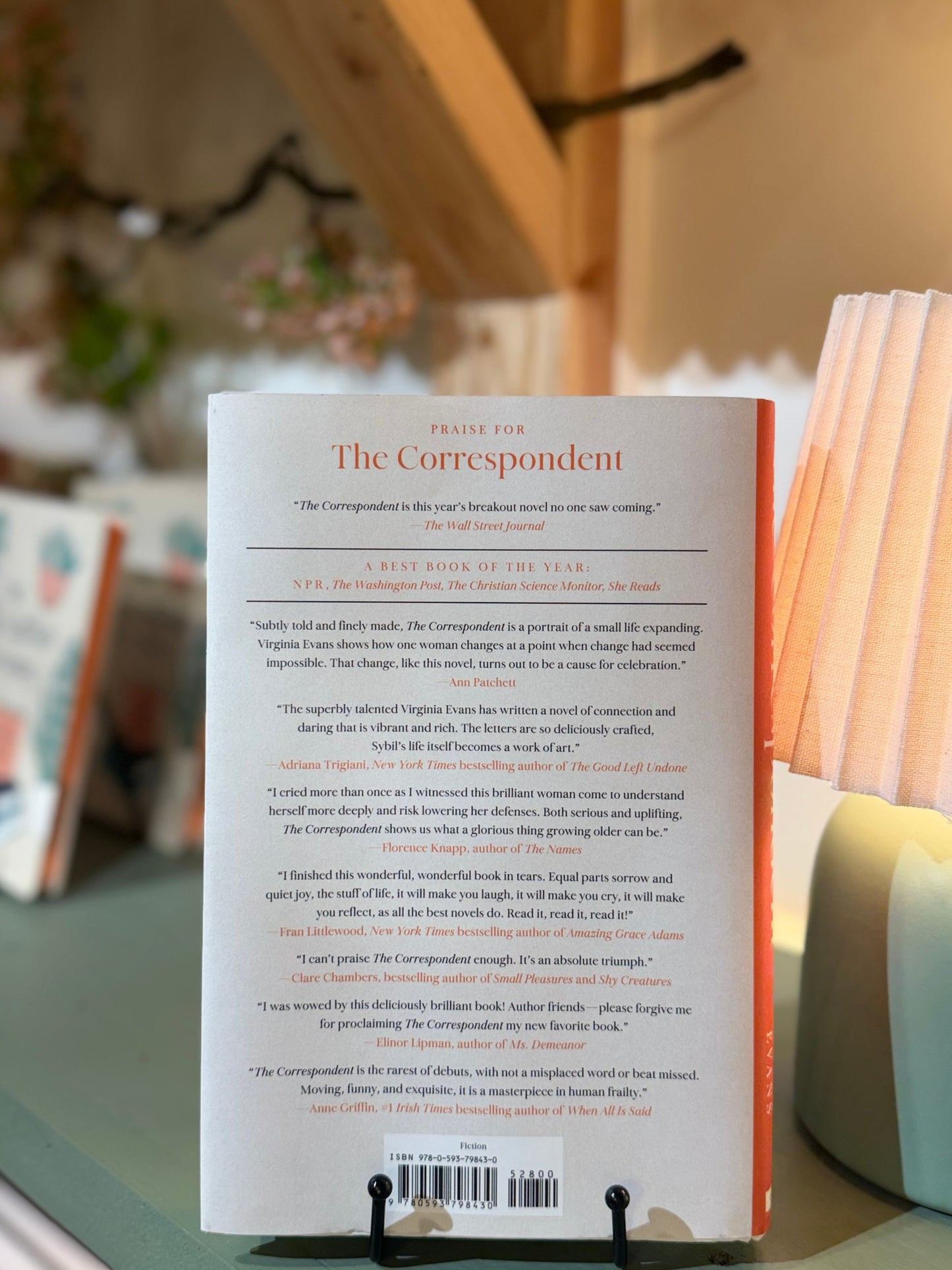 The Correspondent Novel