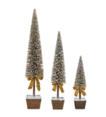 Potted Tree in Wooden Box/with Gold Ribbon