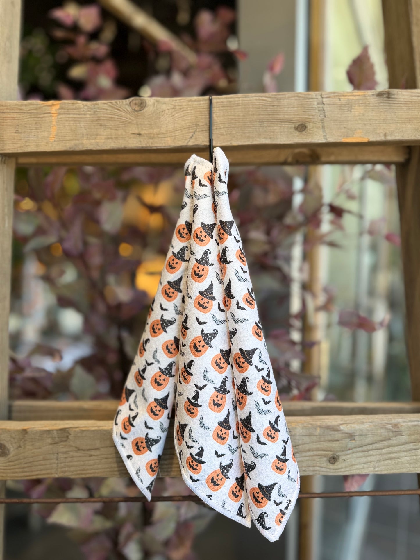 Witchy Pumpkins - 2 sided - Set of 3 Dishcloths - Room and Porch 
