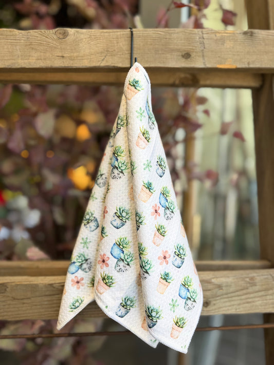 Succulent Garden - 2 sided - Set of 3 Dishcloths