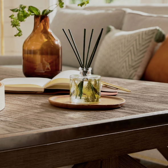 Frasier Fir Petite Pine Needle Reed Diffuser