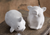 Piglet Salt and Pepper Shakers