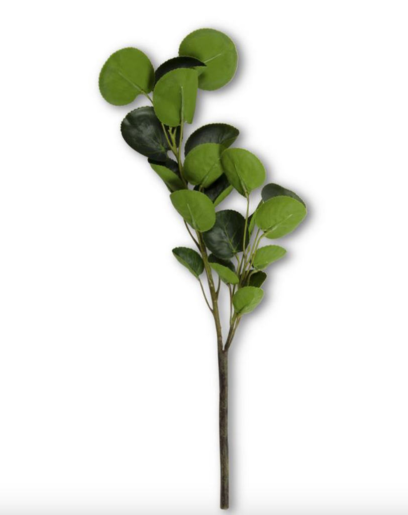16" Eucalyptus Stem