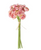 Mini Ranunculus Bundle