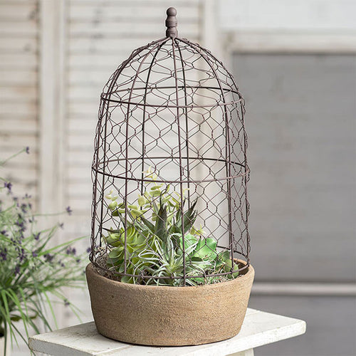 Beautiful Cloche to display your plants or to use in your garden
